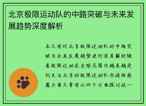 北京极限运动队的中路突破与未来发展趋势深度解析