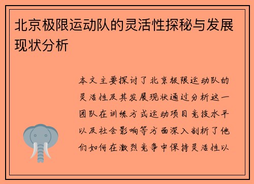 北京极限运动队的灵活性探秘与发展现状分析